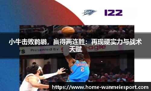 小牛击败鹈鹕，赢得两连胜：再现硬实力与战术天赋